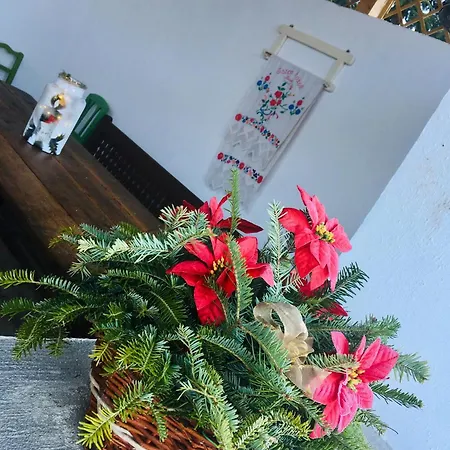 Matrai Pinces Udvar Case de vacanță *